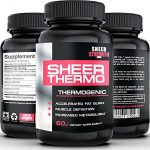 SHEER THERMO e1512101258922