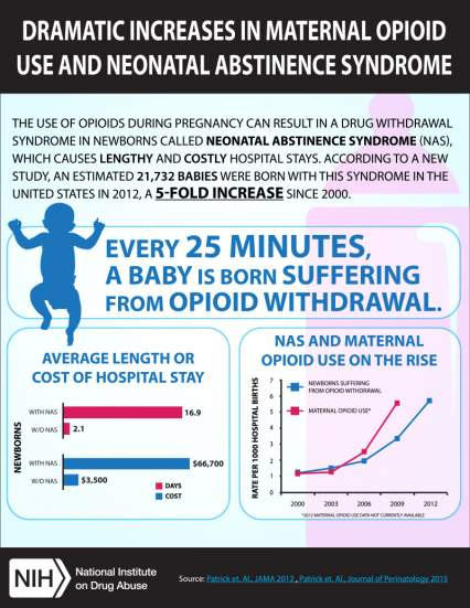 Long Term Effects of Opiate Use