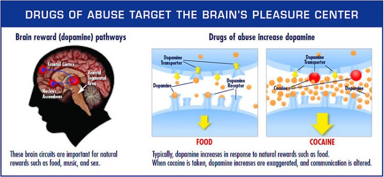 Opiate Effects