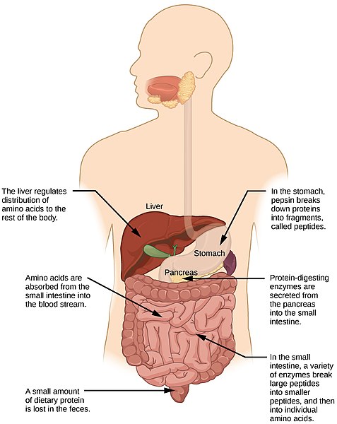 Most Common Symptoms