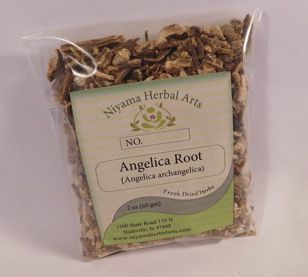 Angelica herbal roots