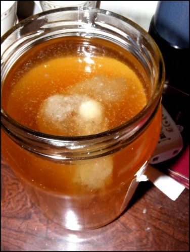 Kombucha Tea