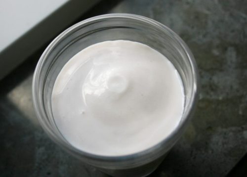 Fermented Yogurt