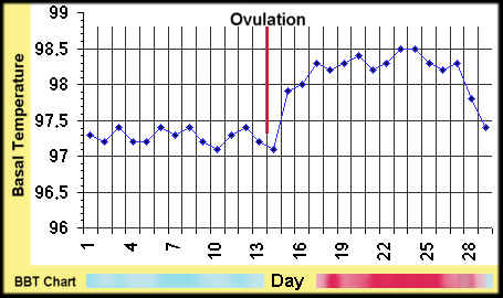 Basal Body Temperature Chart Vs Not