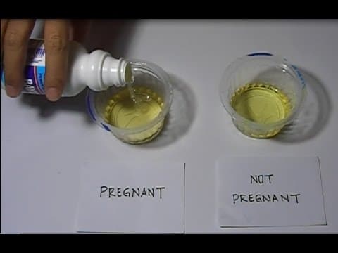 How to Perform Bleach Pregnancy Test at