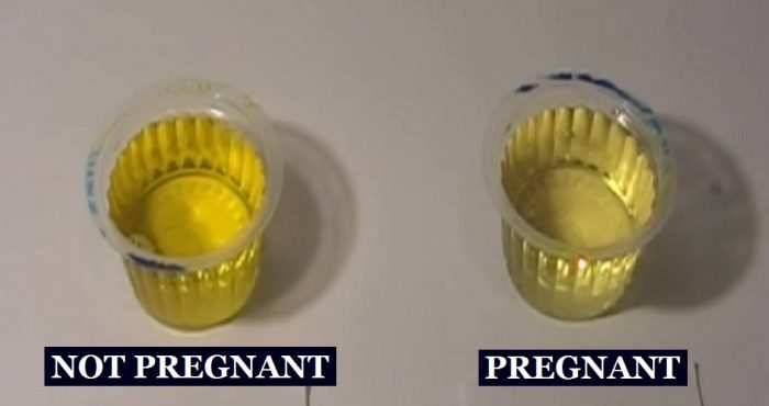 Homemade Pregnancy Tests