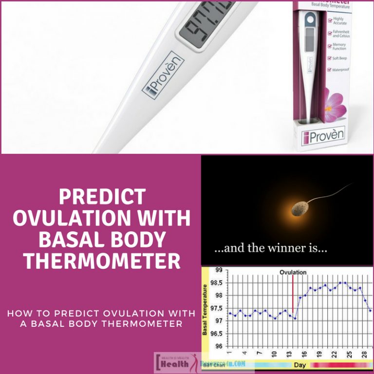 Predict Ovulation with a Basal Body Thermometer