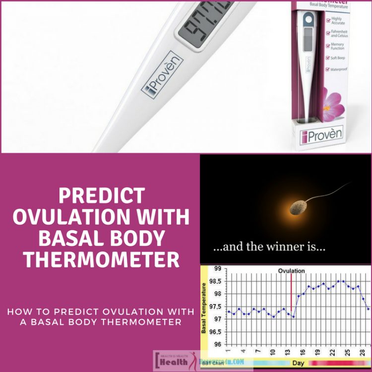 Predict Ovulation with a Basal Body Thermometer e1527208545302