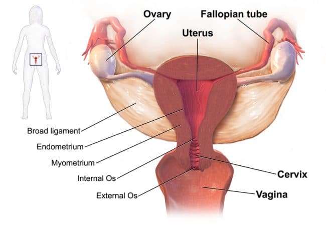 Pelvic Inflammatory Disease