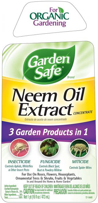 Neem Oil