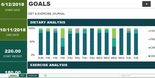 diet-exercise-chart-template