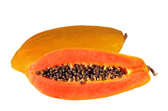 Papaya