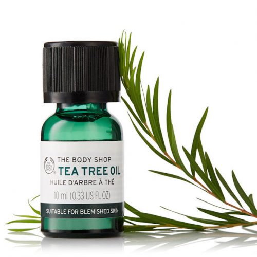 Body Shop Tea Tree Oi