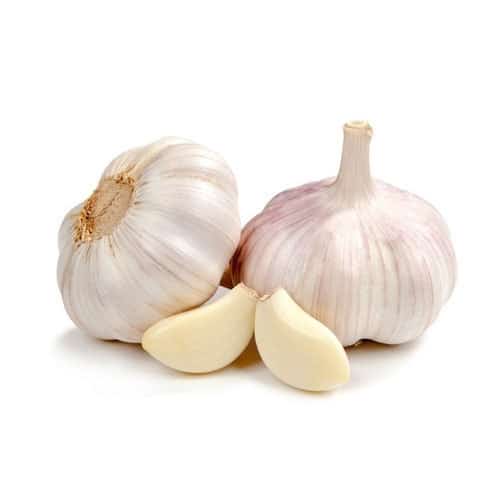 Garlic Use