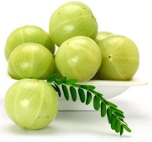 Amla and Water