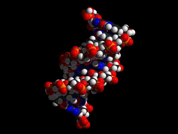 chromosome 