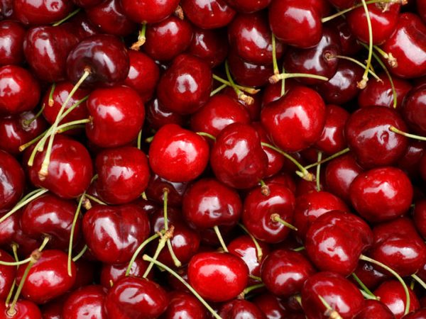 Cherries