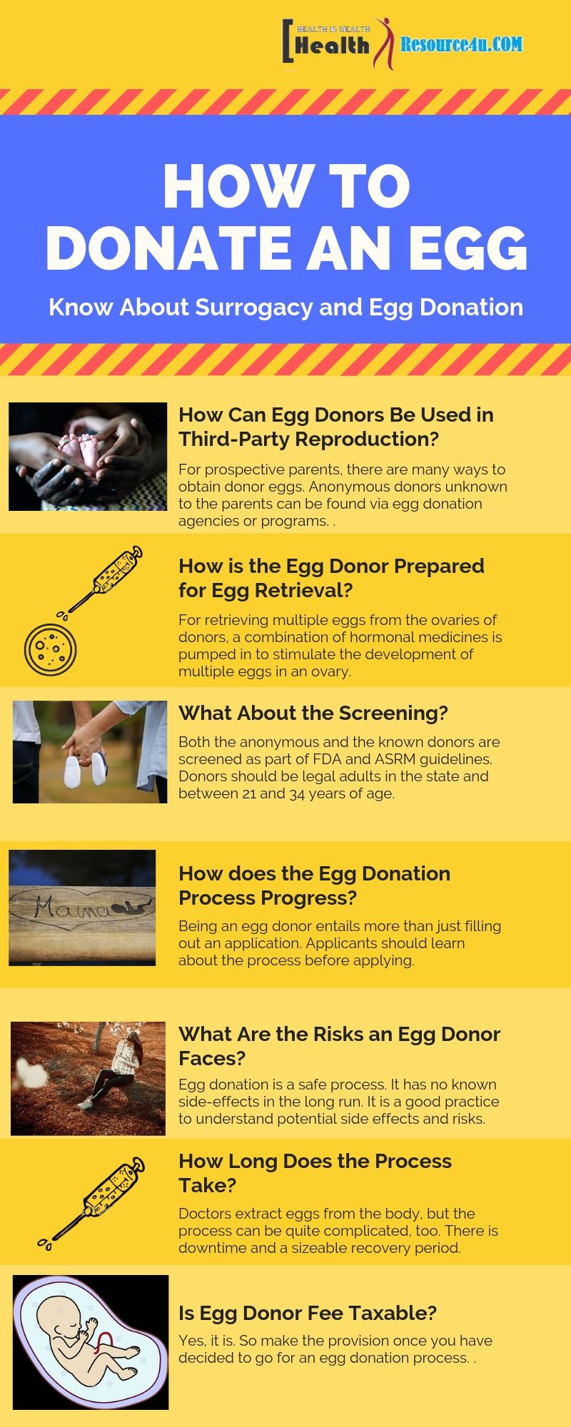 Infographic How to Donate An Egg