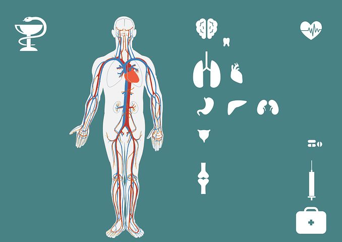 Ovarian Disease