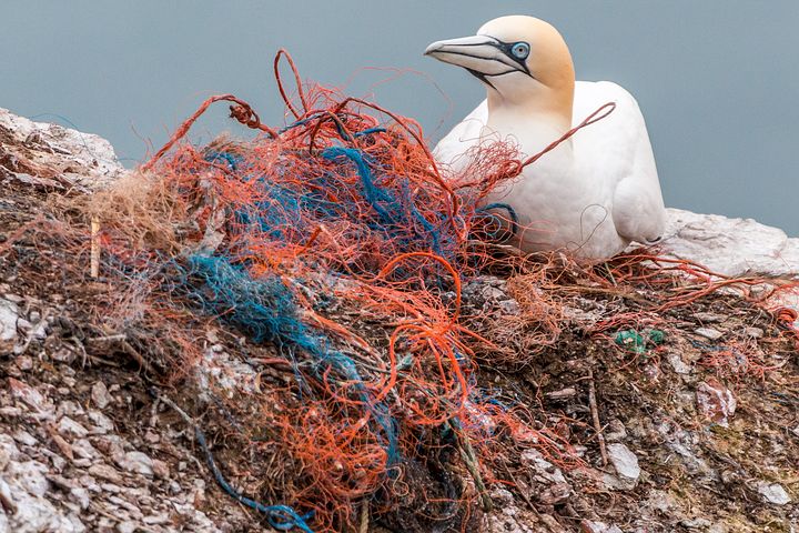 Health Problems With Plastic