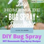 DIY Homemade Bug Spray