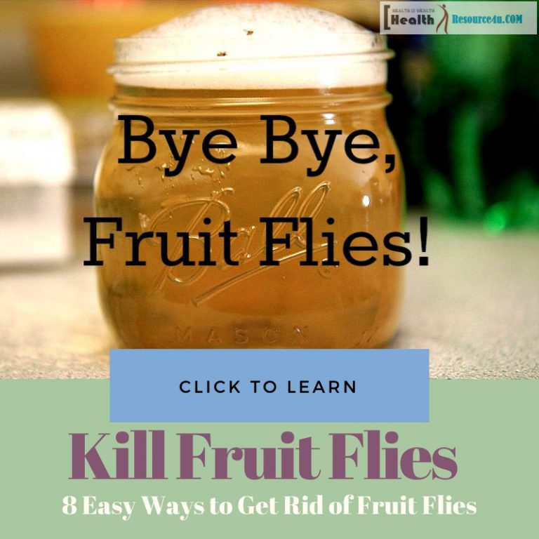 Ways to Get Rid of Fruit Flies at Home