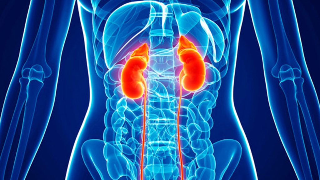 improve kidney function