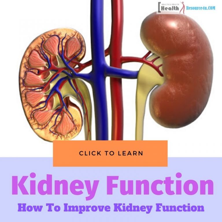 Kidney Function