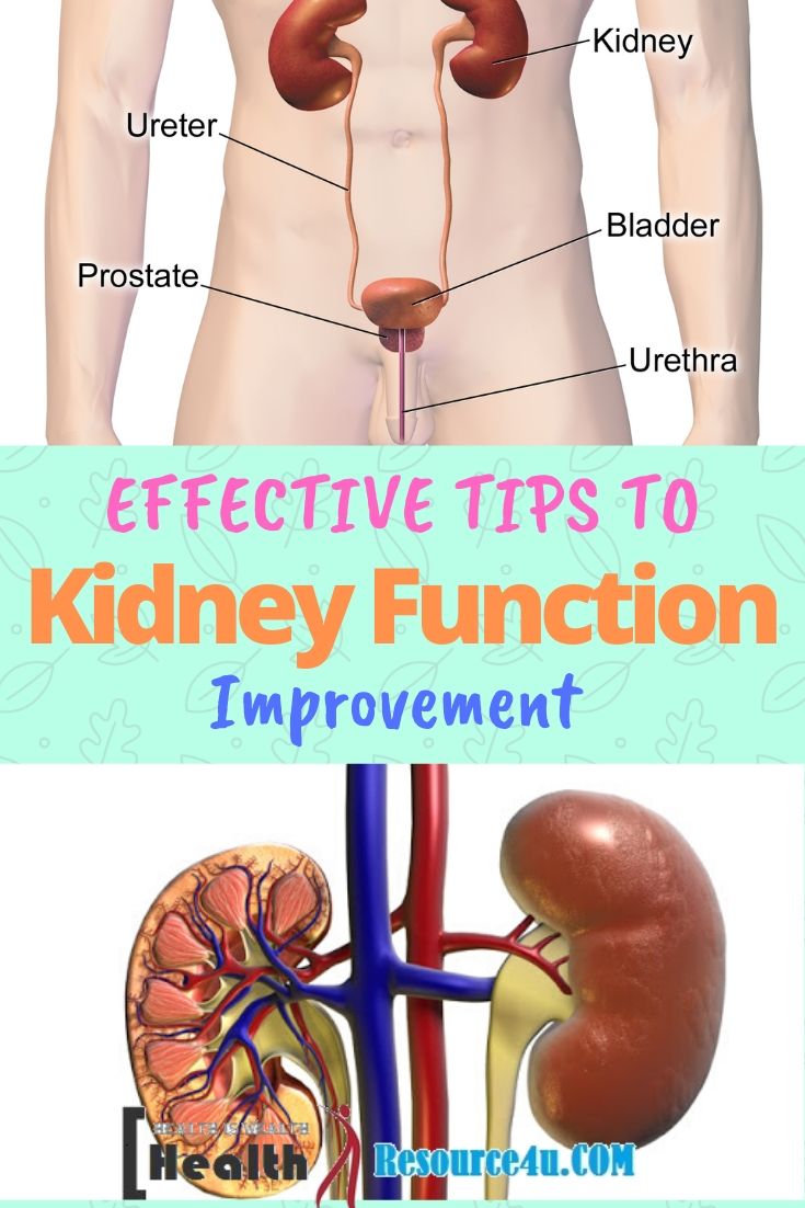 Tips to Improve Kidney Function