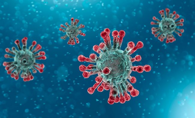 coronavirus disease