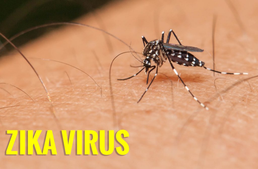 Zika virus disease