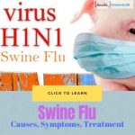 H1N1 Flu Virus (Swine Flu)