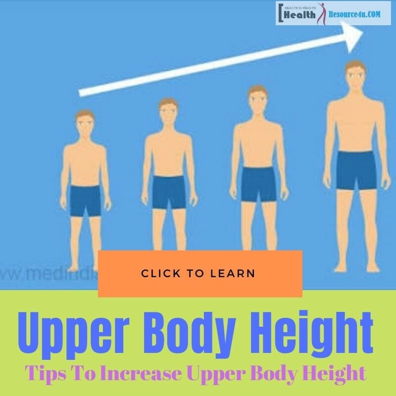 Increase Upper Body Height
